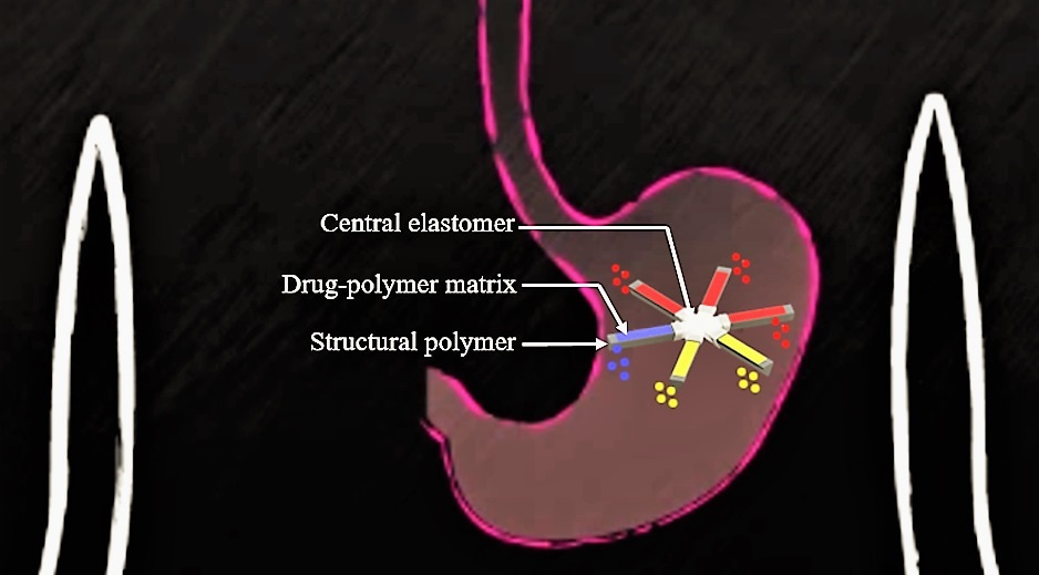 Starring our way to once weekly orally delivered HIV antiretroviral therapy